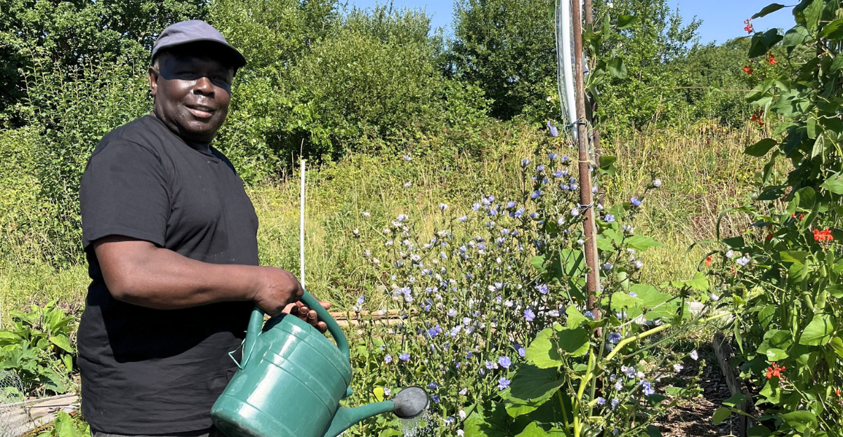 Milton on his allotment